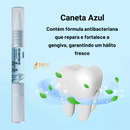 Caneta Dental PetSmile Clean – Dentes Limpos Com Um Toque